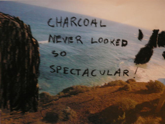 Charcoal Never Looked So Spectacular