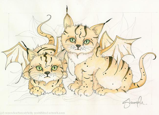Kitten Dragons