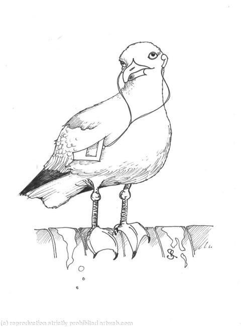 Brian the Seagull