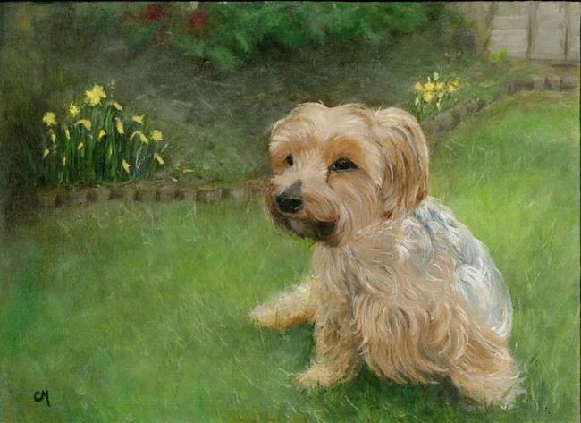 Alfie