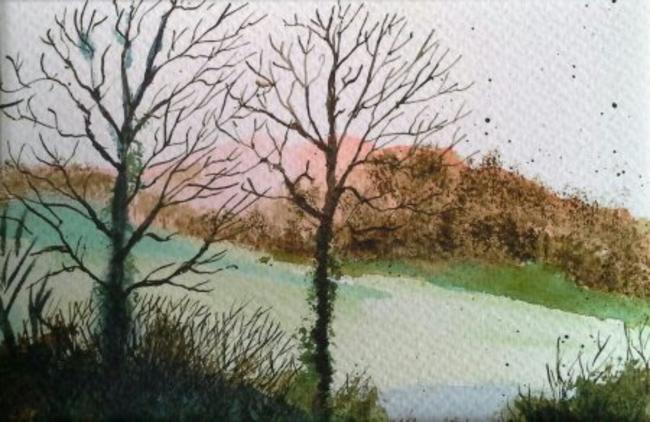 Winter at Sizergh