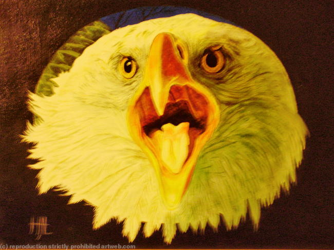 Bald Eagle