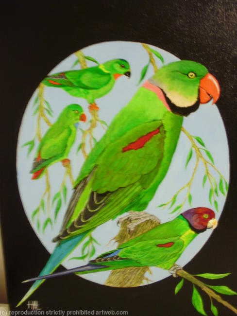 Parrot Fashion