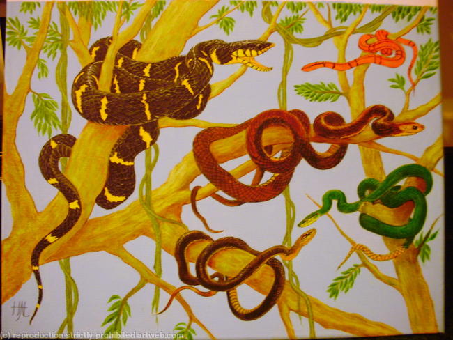 Snakes Alive