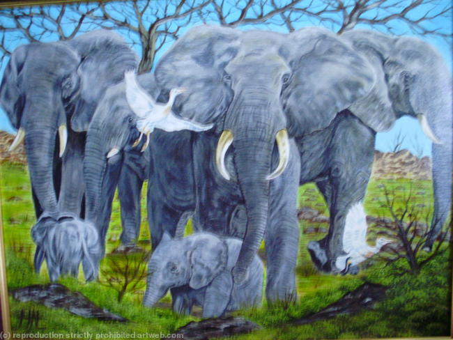 The Herd