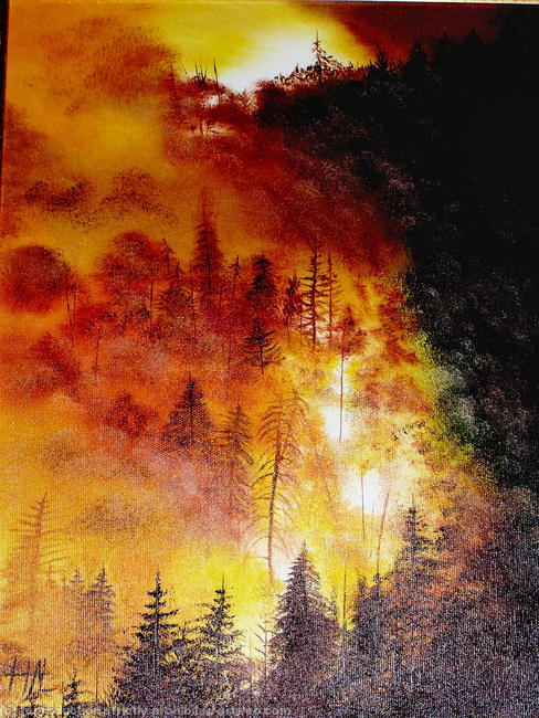 Forest Fire