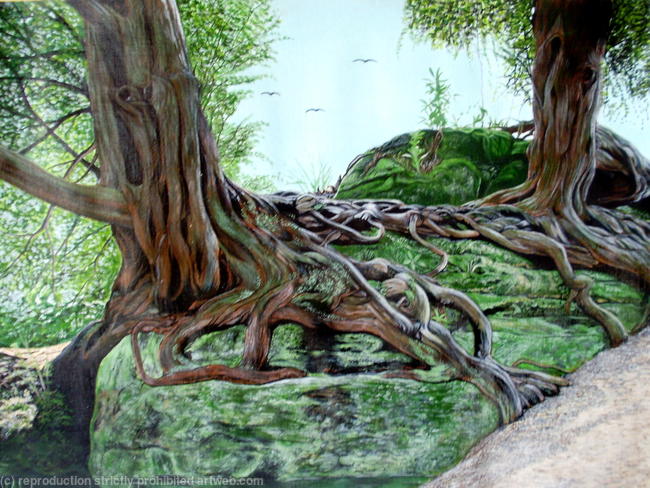 Yew Trees on Limestone, Wakehurst