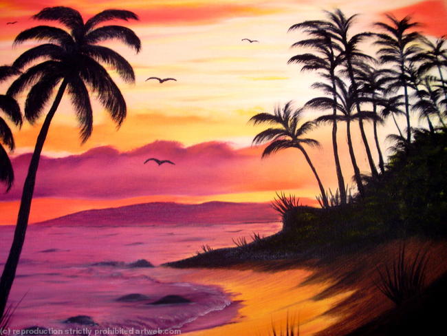 Sunset in Hawaii