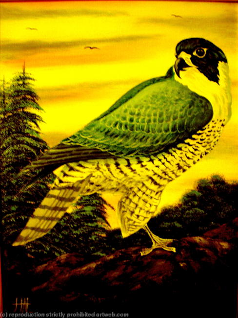 Kestrels Rest