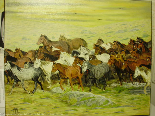 Mustang Stampede