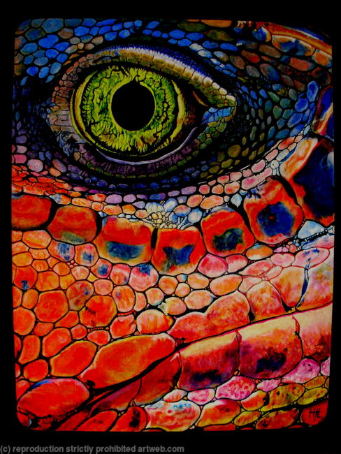 Iguana