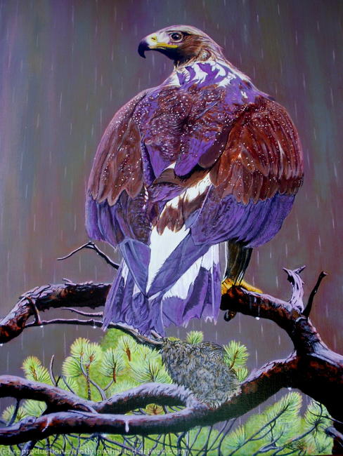 The Eagle has landed