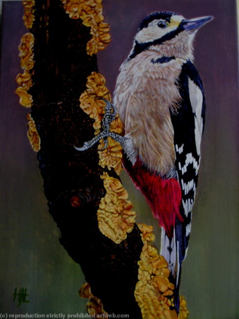 'Woody'