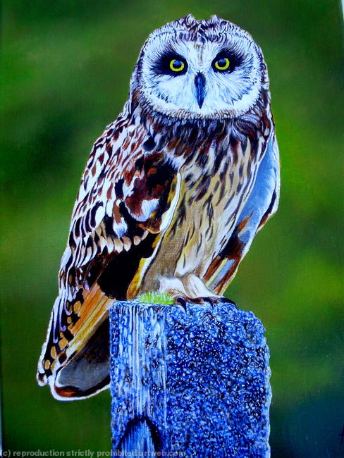 'Wise Guy'