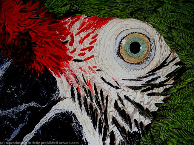 Manic Macaw