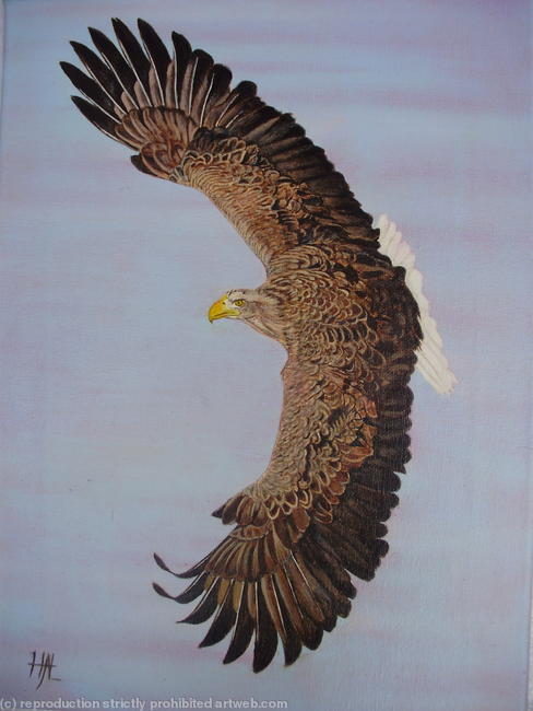 Freedom