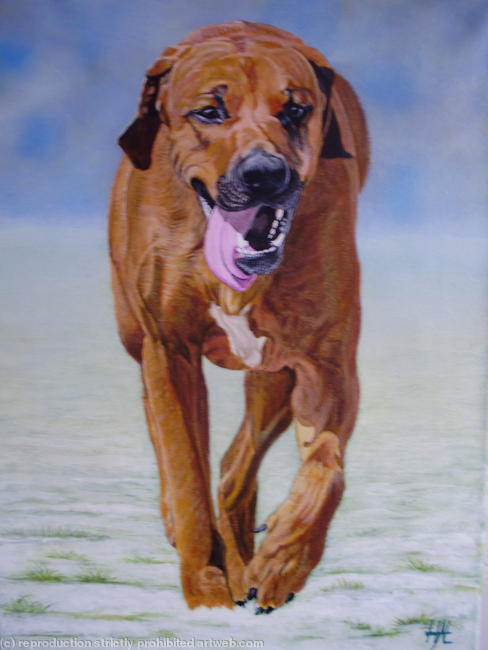 'Good Old Boy'