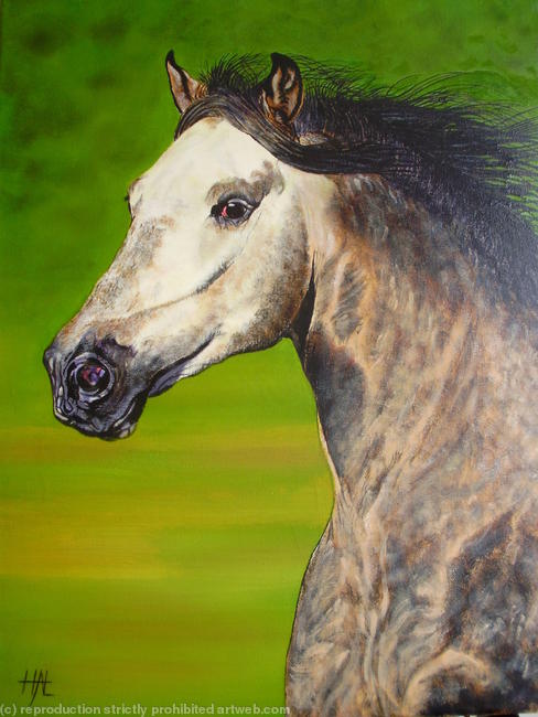 'Magnifico'