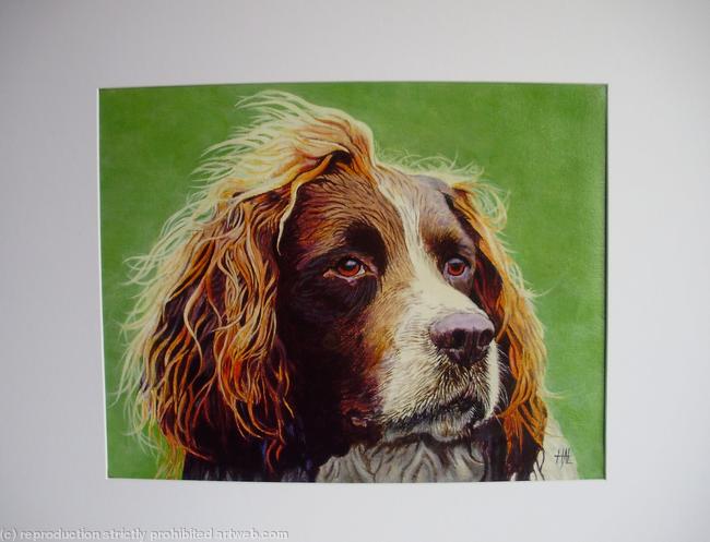 'Buddy'