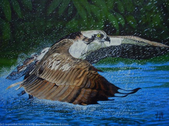 Osprey Strike