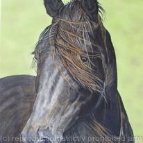 Beautiful Lady