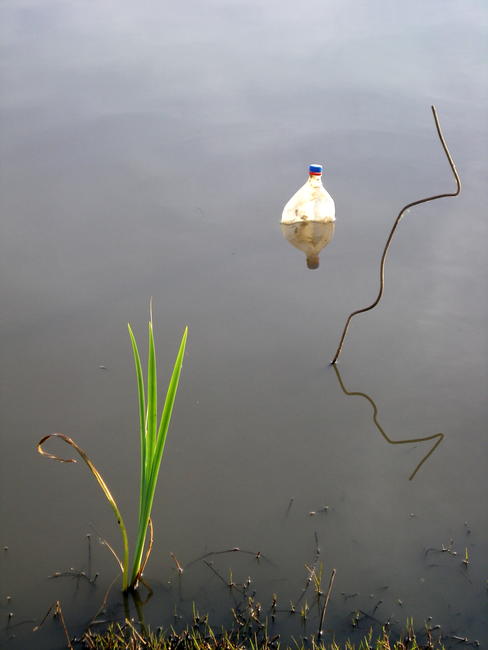 Message in a bottle