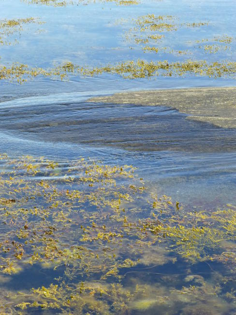 Ripples