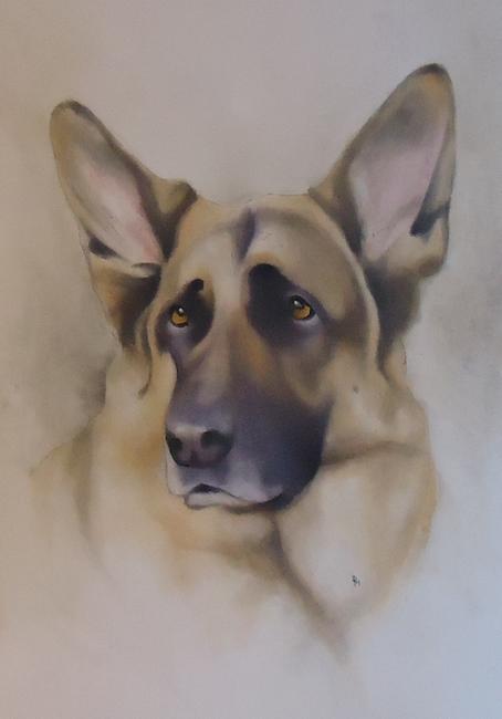 Gizmo the Alsatian FOR SALE