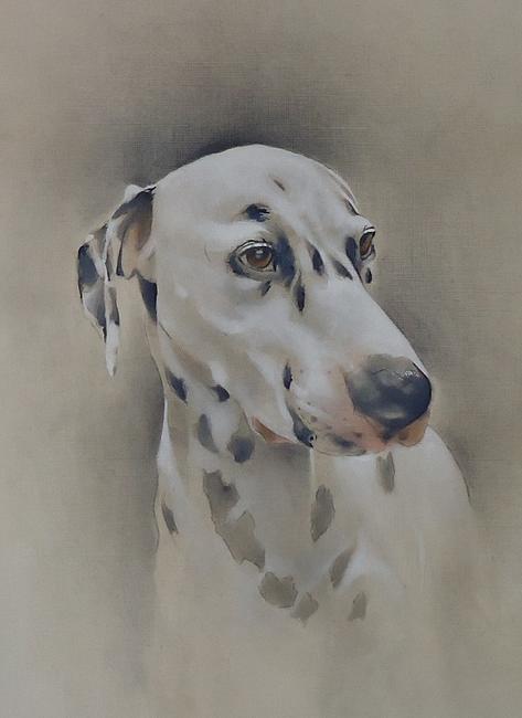 Bailey the Dalmatian SOLD Commissioned