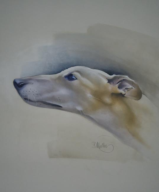 Buzz the Greyhound 2 FOR SALE