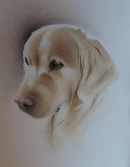 Ruby the Long-Haired Golden Retriever