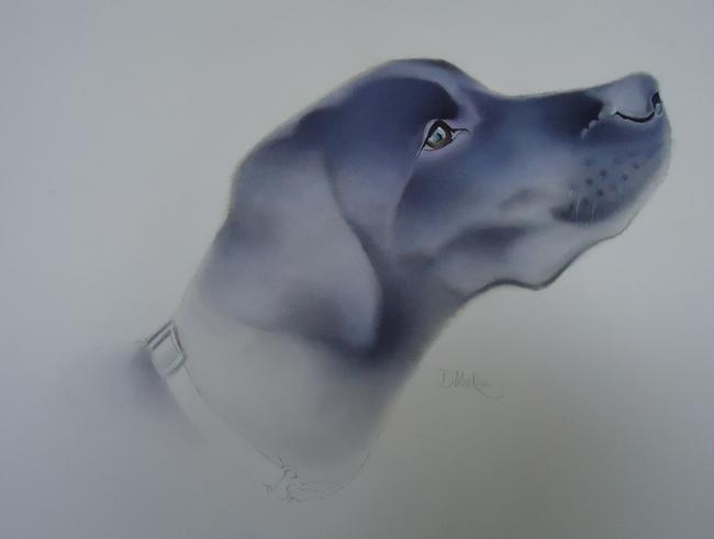 Morgan the Labrador 3 FOR SALE