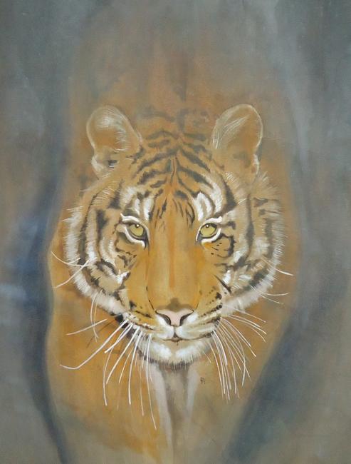 Panthera Tigris FOR SALE