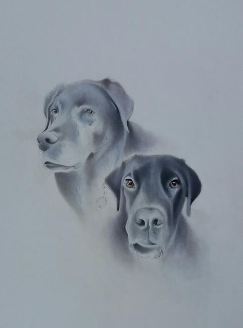 Chester and Morgan SOLD Commissioned