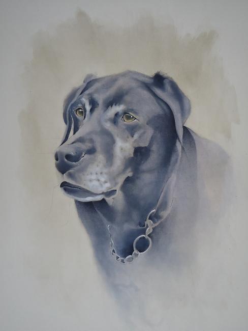 Chester the Labrador SOLD Commissioned