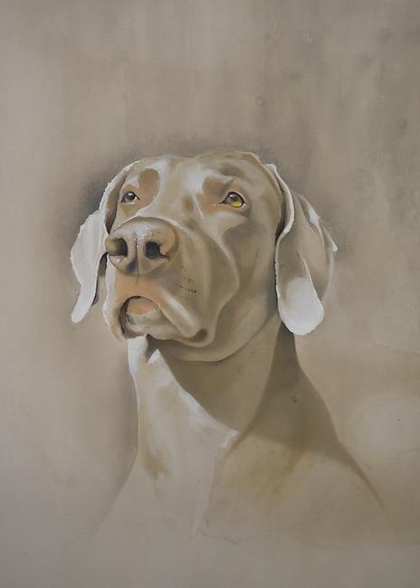 Storm the Weimaraner 2 SOLD Commissioned