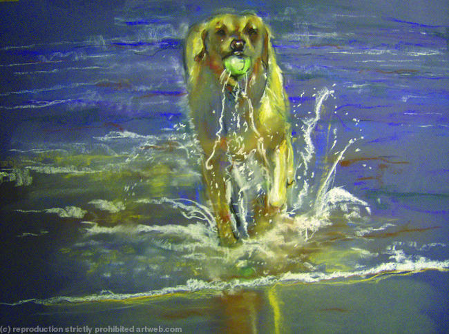 Sadie in the sea