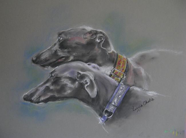 Two young greyhounds