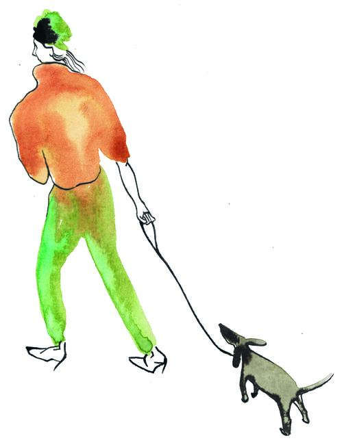 cane verde ed arancio