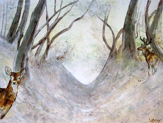 Deer Wood