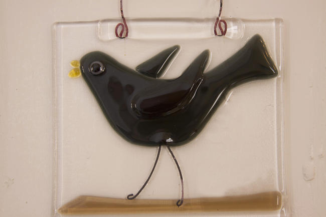 Blackbird