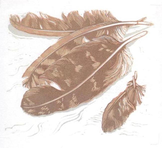 Owl Feathers by Beverley White