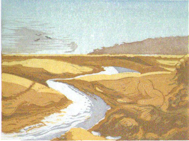 Estuary at Low-water