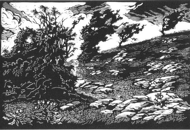 Limestone Landscape