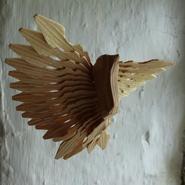 Fan Bird by Steve Tomlin