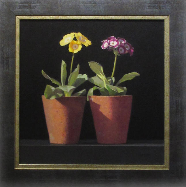 'Auriculas' - Ian Parker