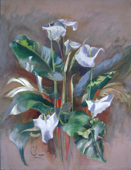 Arum lilies