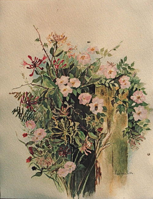 Honeysuckle and Roses