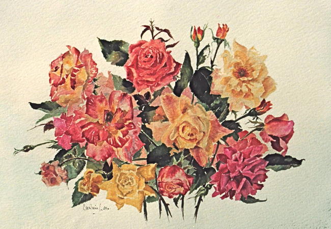 Roses