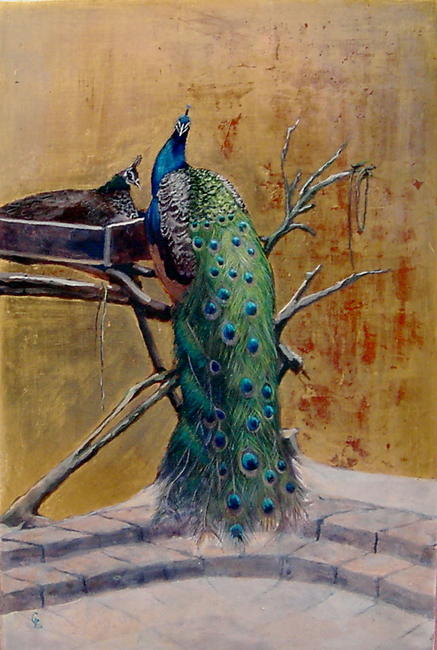 Peacocks